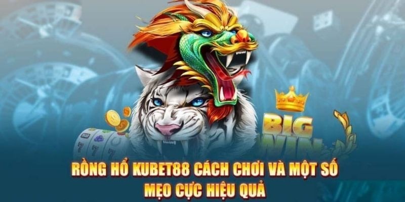 Hai mẹo để hội viên rinh tiền thưởng trong rồng hổ KU88