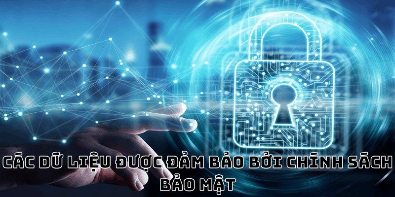 Các dữ liệu được đảm bảo bởi chính sách bảo mật